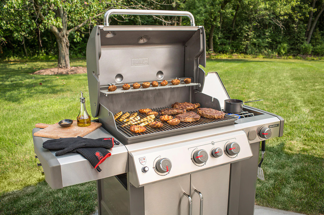 Weber Propane Gas Grill