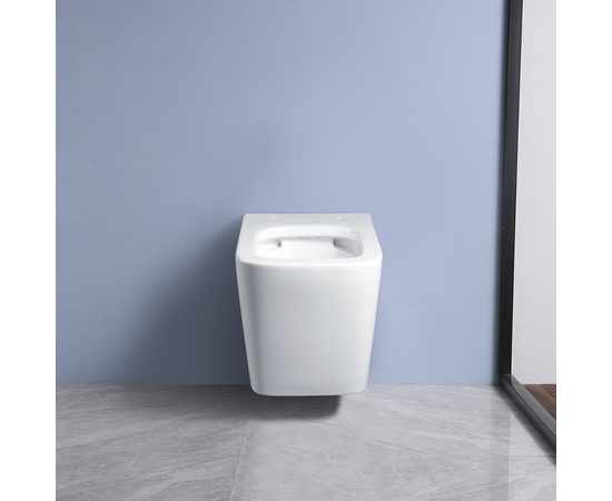 Подвесной унитаз Oliveeka YJ2303 белый - Изображение 7