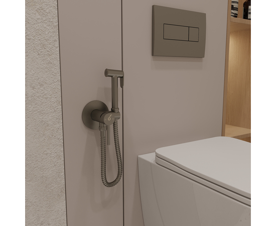 Гигиенический душ со смесителем Oliveeka OL-829002-BGM, матовый оружейный металл