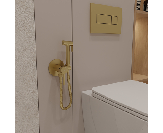 Гигиенический душ со смесителем Oliveeka OL-829002-BG, золотой матовый