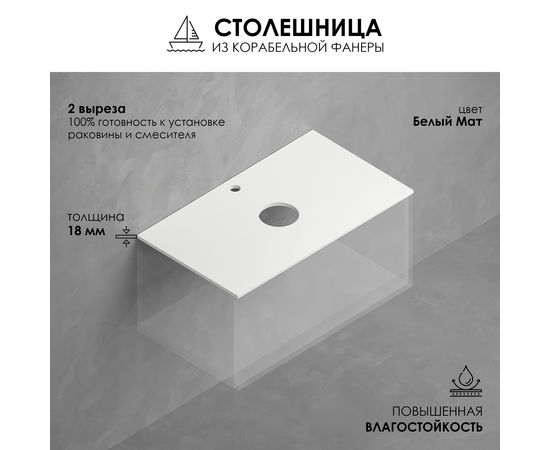 Столешница из влагостойкой фанеры 18 мм T695C2 Белая, 2 выреза, 695х458 мм